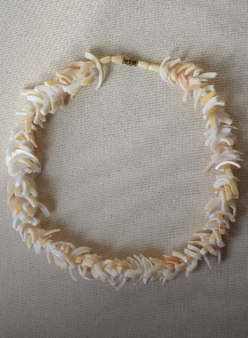 Shag Shell Necklace